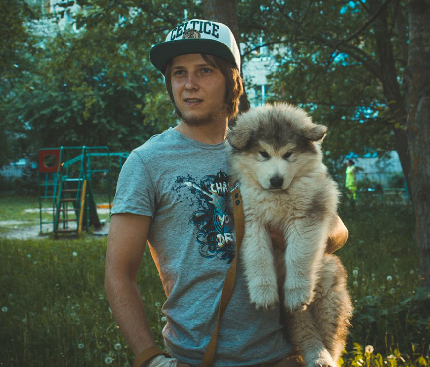 Cute Malamute Puppy Turns Into A Giant Fury Beast