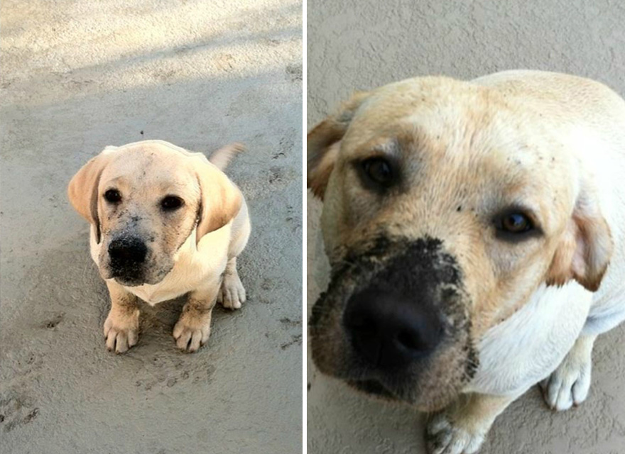 This Guy, He Never Learns