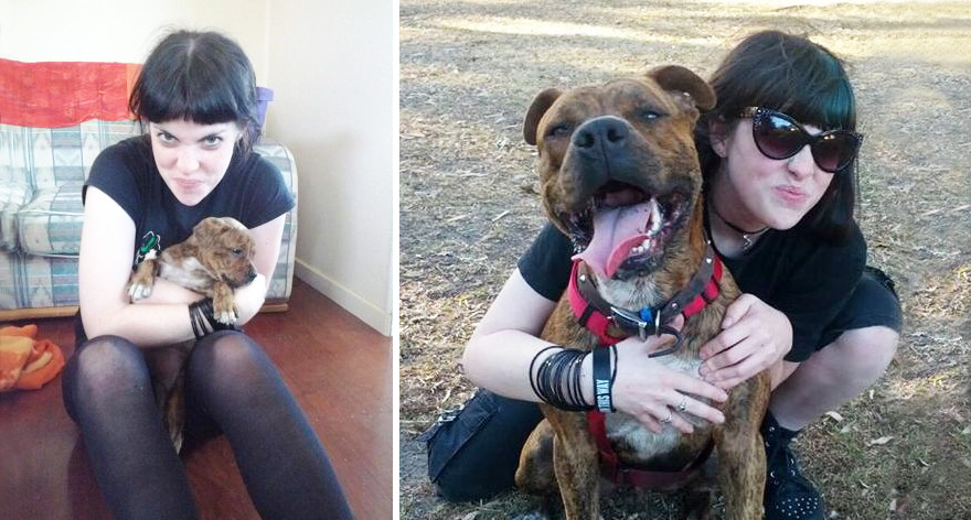 Two Years Later. Chico Has Grown Too Fast