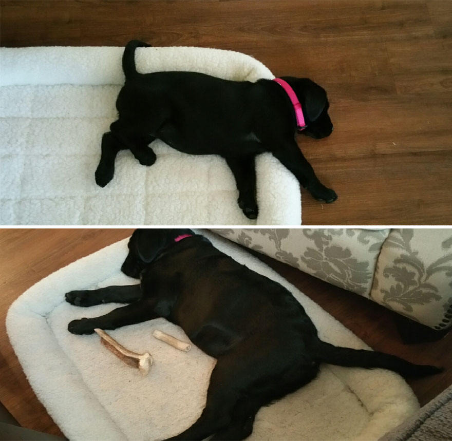 It's Amazing How Much She Has Grown In Just Four Weeks