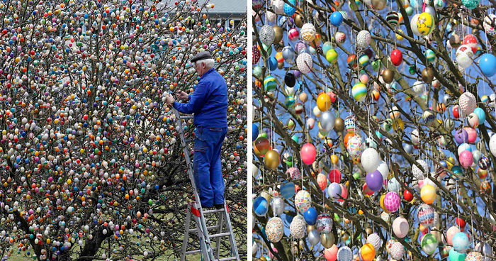 This German Family Spent More Than 2 Weeks Decorating A Tree With 10,000 Painted Eggs