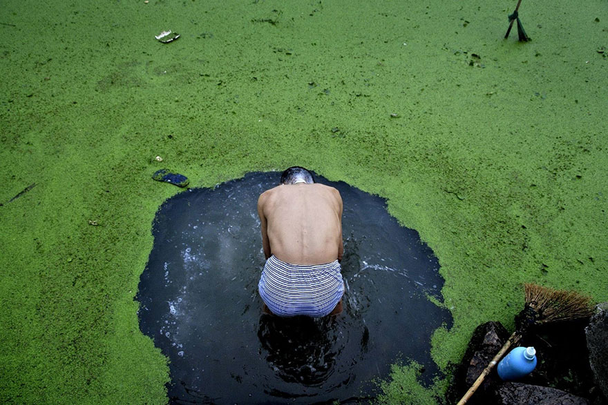 An Elderly Man Uses A Broom To Sweep Away A Burst Of Algal Bloom From The Surface Of A Pond In Order To Bathe In Jiaxing