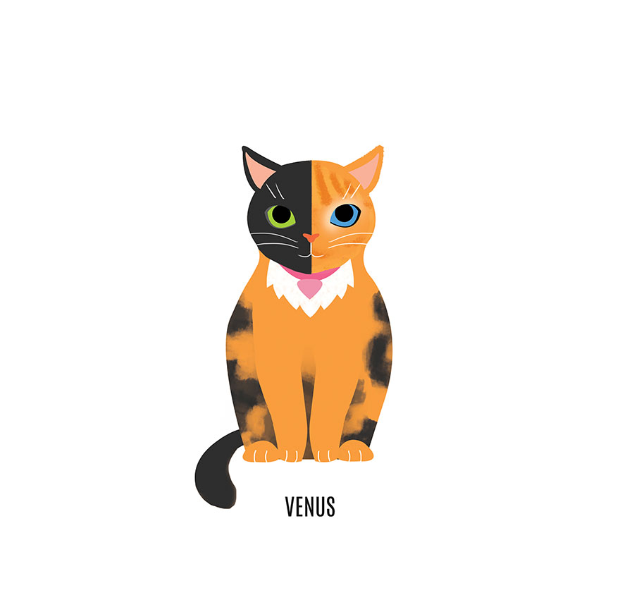 famous-internet-cats-illustrations-nuro-nuro13