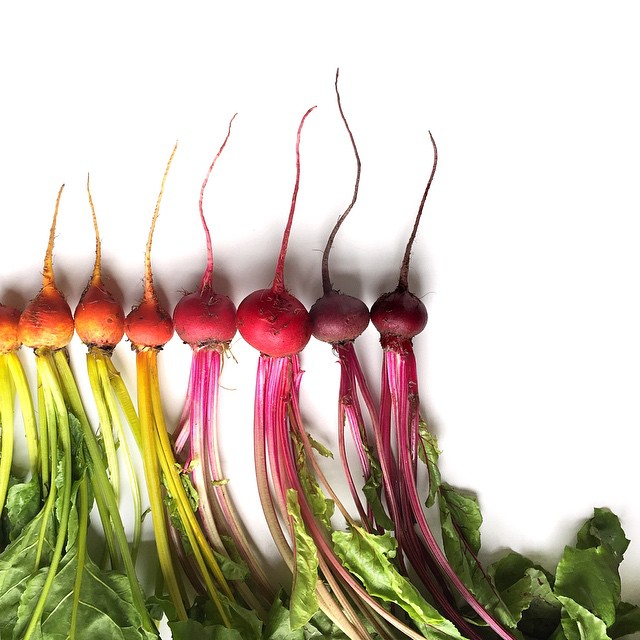 food-gradient-photography-brittany-wright-seattle-112