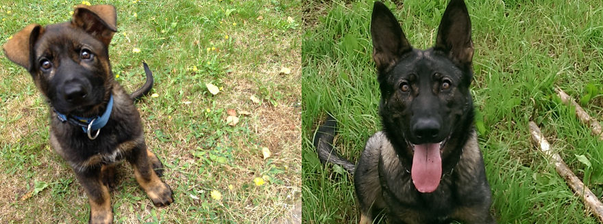 Frida ... Before And Now.