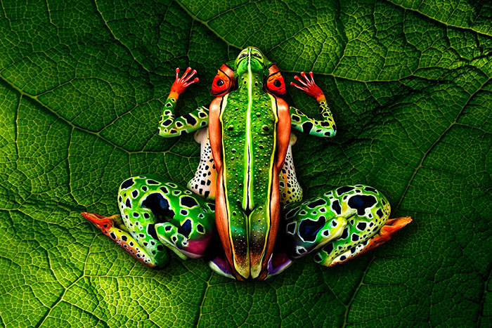 frog-body-painting-optical-illusion-johannes-stotter-2