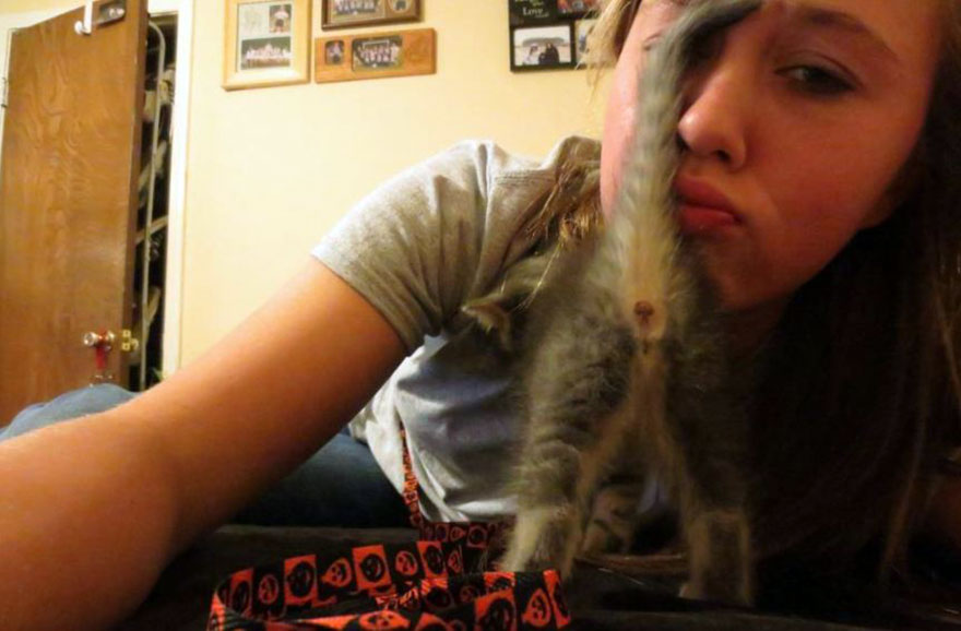 Funny Animal Photobombs