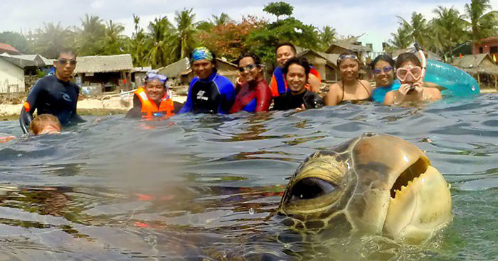 90 Of The Funniest Animal Photobombs Ever