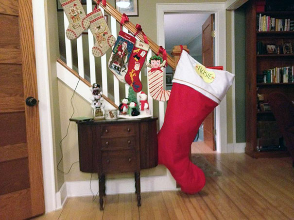 My Parents Always Said They Love Their Kids Equally, But That Is Hard To Believe When I Come Home For Christmas To This