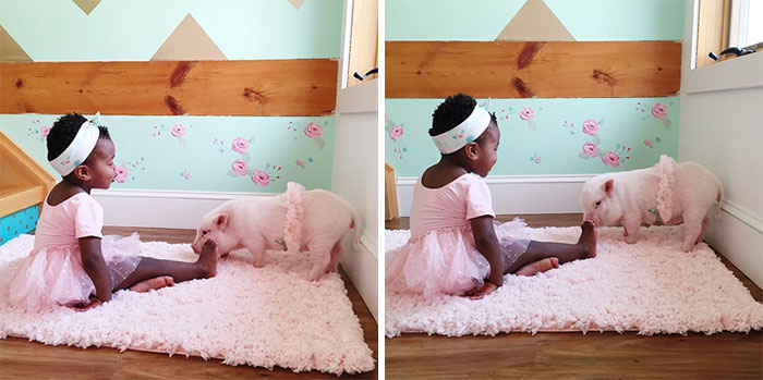 girl-piglet-friendship-tutu-twins-libby-pearl-10