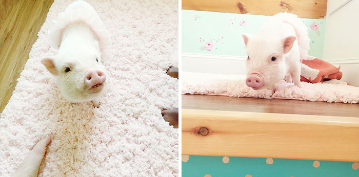 girl-piglet-friendship-tutu-twins-libby-pearl-7