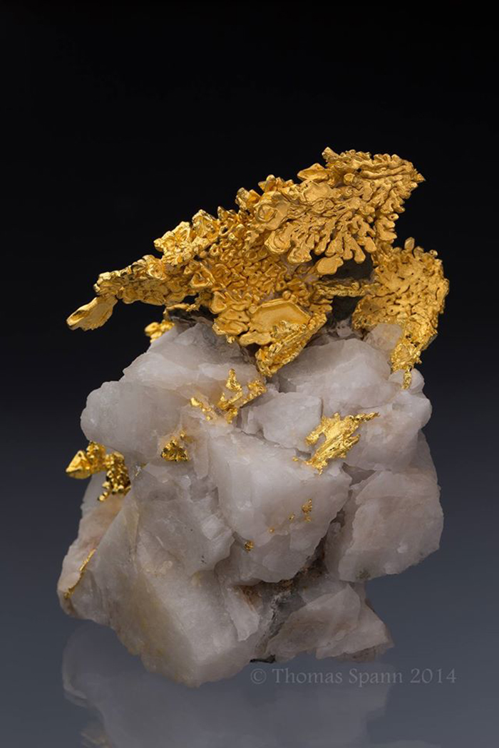 Gold crystal formation on quartz, showcasing beautiful minerals and stones against a dark background.