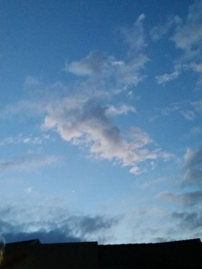 Magical Cloud Pony With Wings