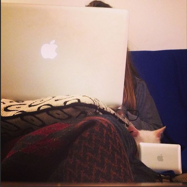 Icat By Jasmine Ronel