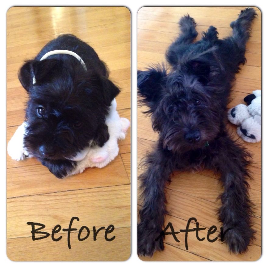 Ozzy Two Months Apart