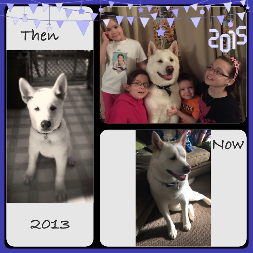 Kido Senshi 1.5 Years Apart