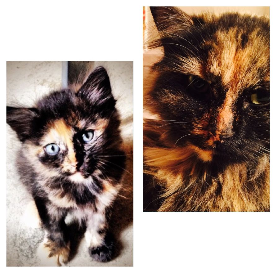 Babooni, 2 Years Later!