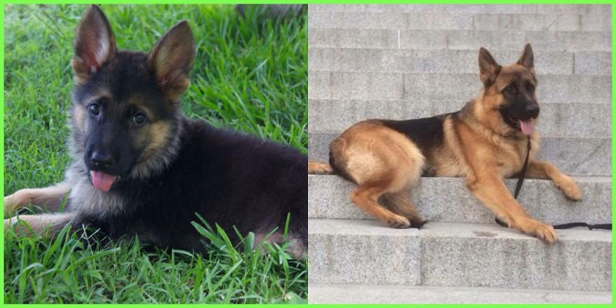 1 Year Makes A Big Difference