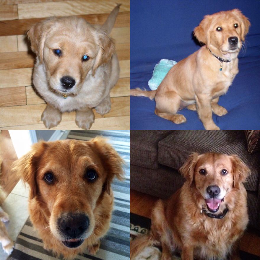 The Evolution 8 Weeks To 10 Yrs