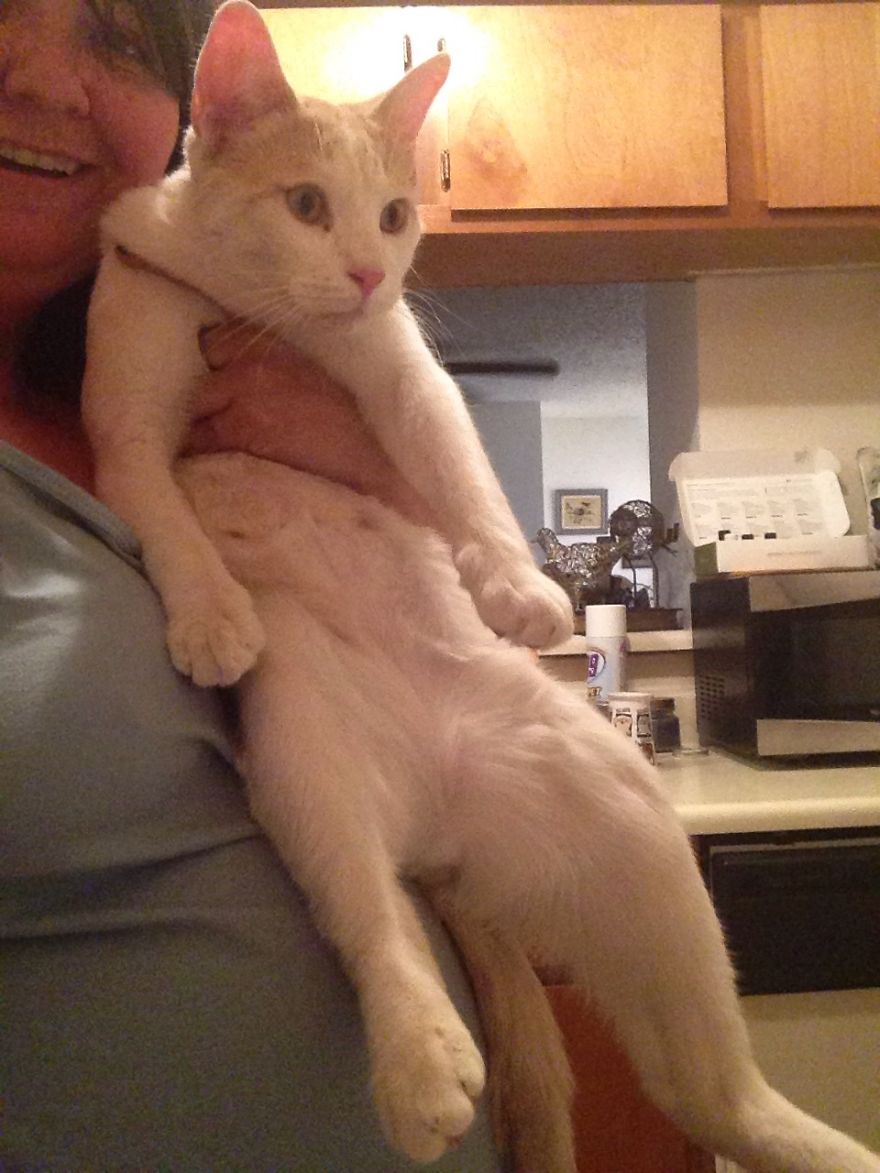 Shaw September 2014 And April 2014