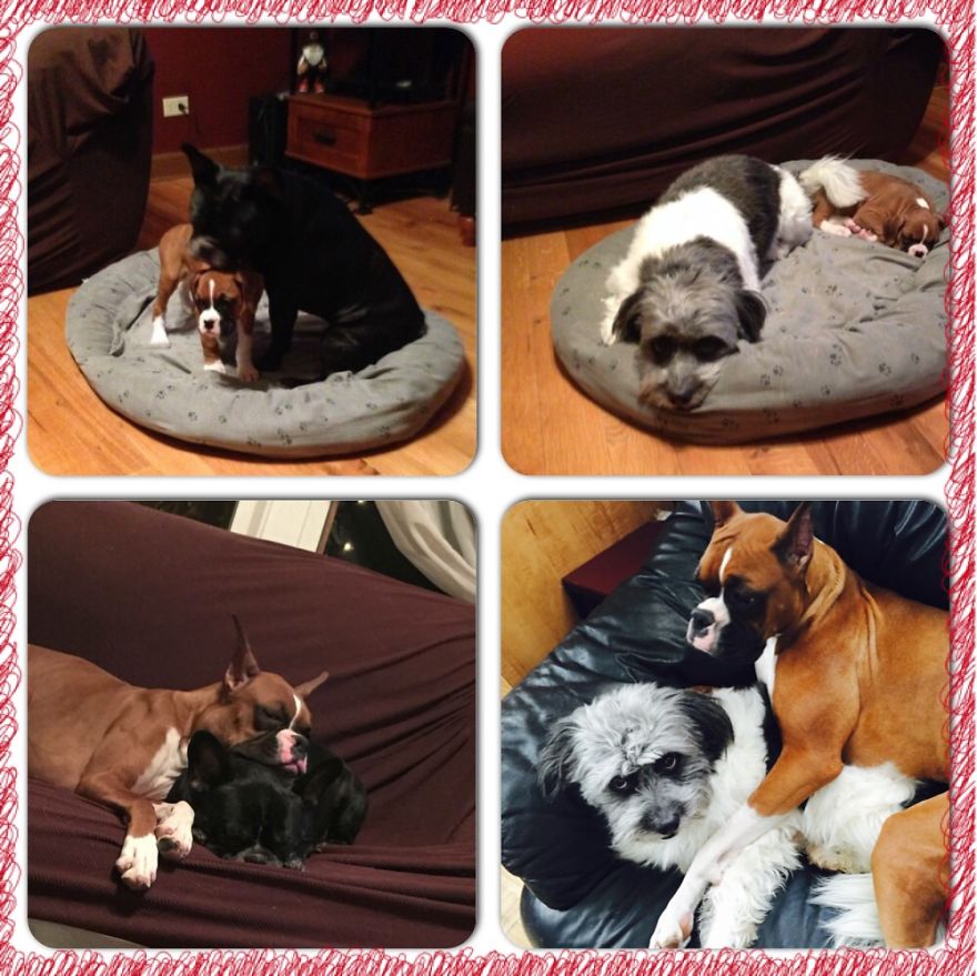 Smallest Baby Turns Into Biggest Lover! 1 Year Apart.