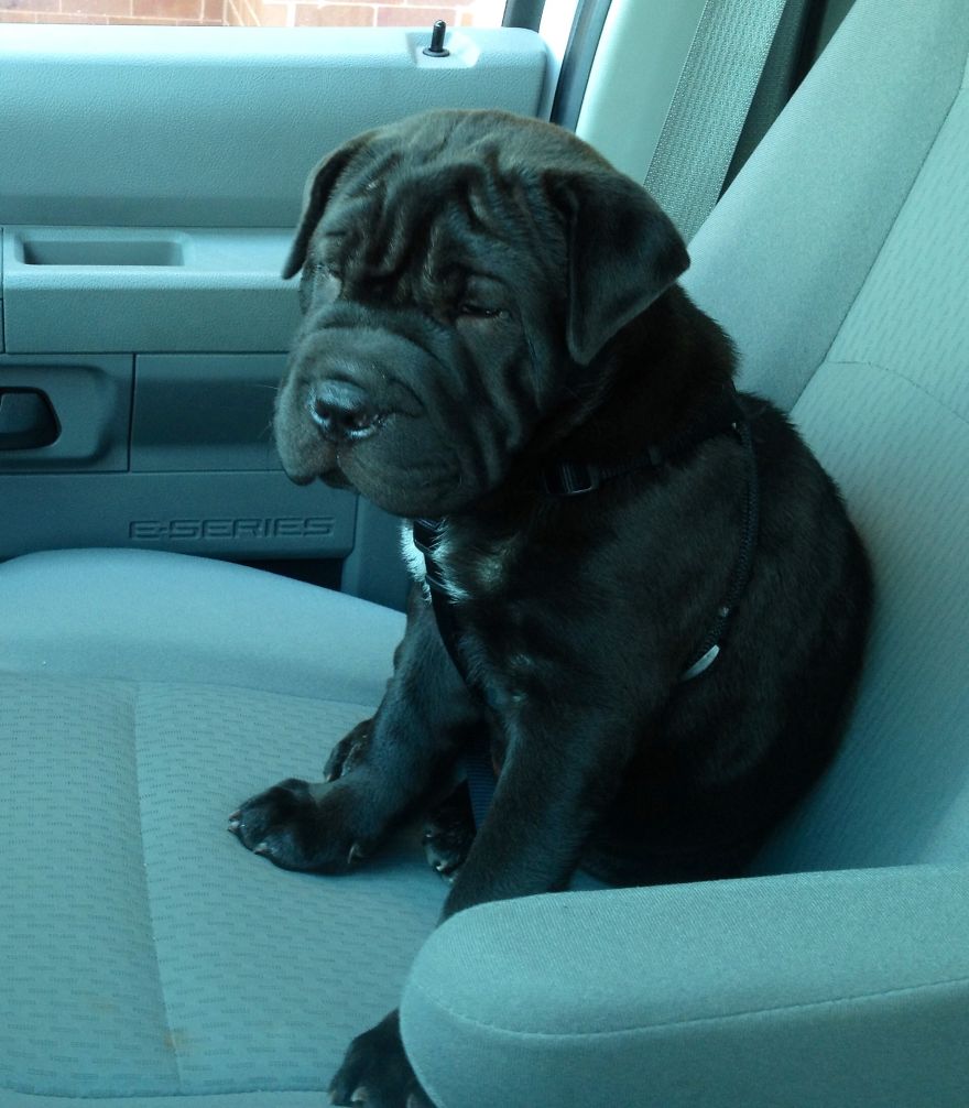 Charles Coal Black (charlie)