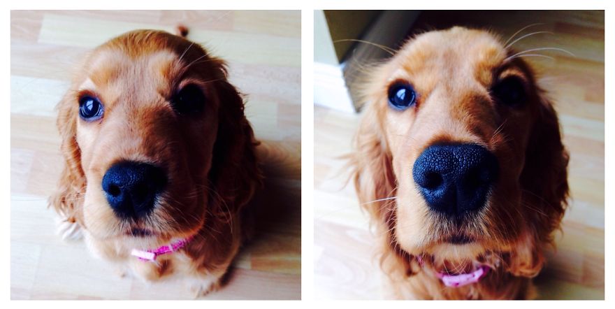 Holly - 3 Months Later