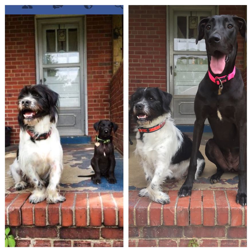 Rogue And Tuesday 11 Months Between