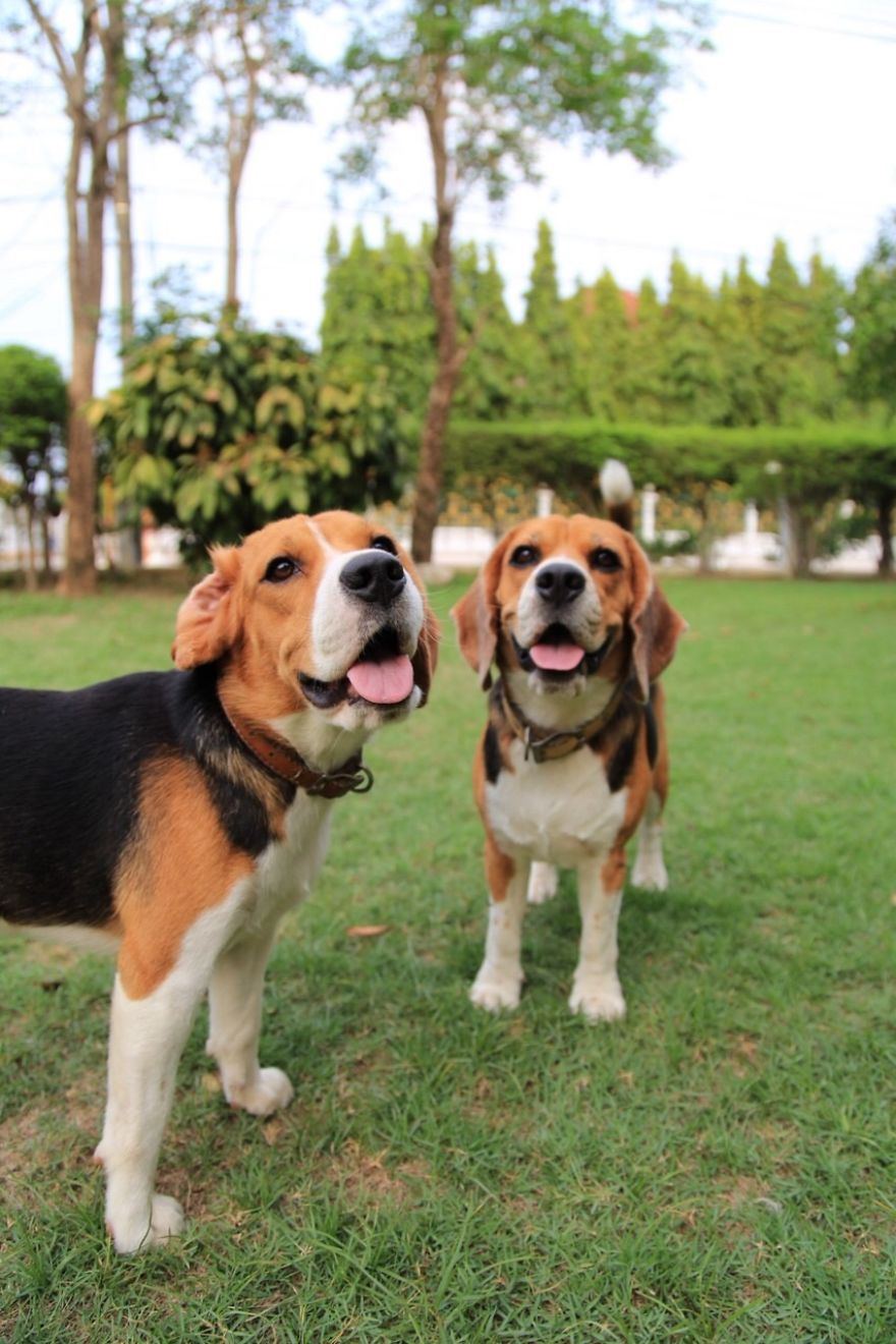 Brothers Then And Now :)