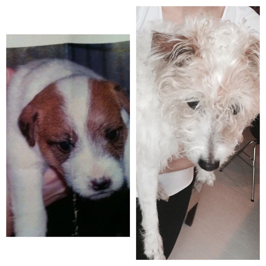 Solo, 4 Weeks And 11 Years