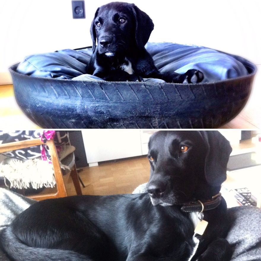 Arnold Three Years Apart