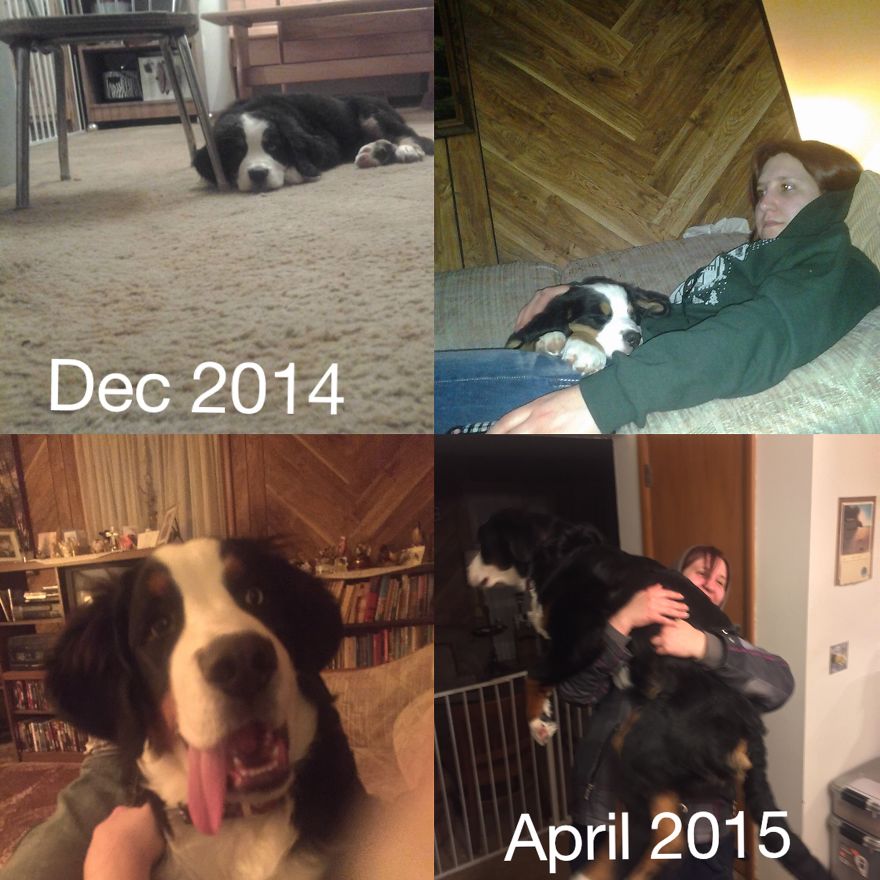 Charlie- 2 Months Old Vs 6 Months Old