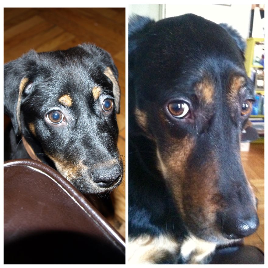 Lyla 6 Months To 5 Years