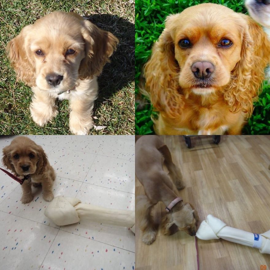 Gooch Before And After.