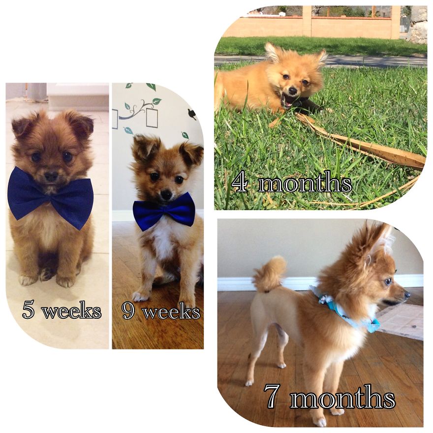 My Best Pal "butters"