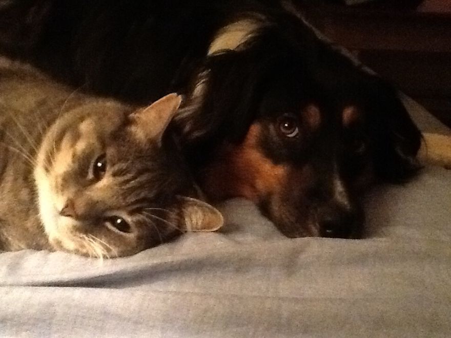 May And Beaufort Still Like To Cuddle