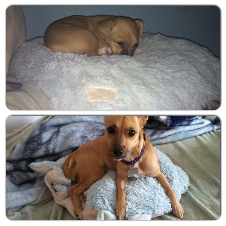 Ellie At 3 Months And At 2 Years