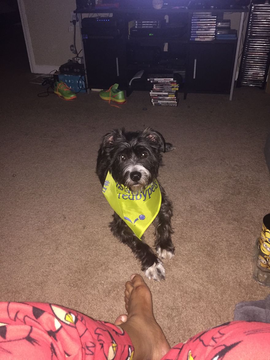 Smokey Bones 8 Wks To 2 Yrs