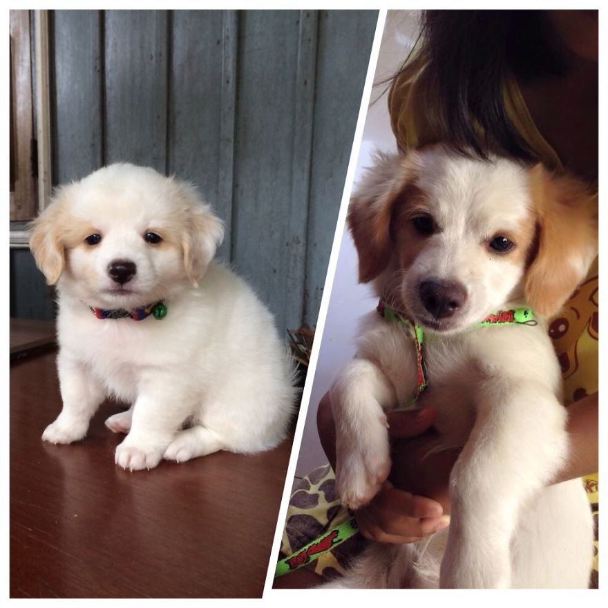 Mio 6weeks Vs 7months Old