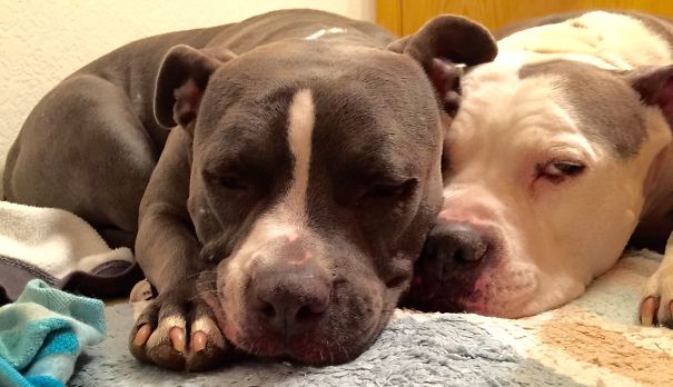 Maggy And Osiris Best Friends 4ever