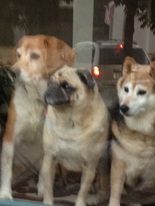 Just Watchin' Cars Go By...