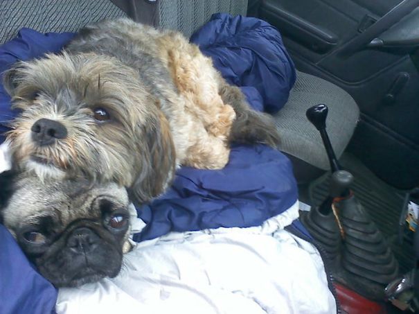 "i Keeps You Warm" Sydney And Moose