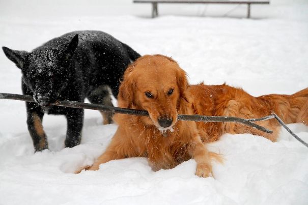 Sharing Is Caring :)