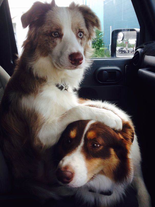 Don't Worry Dad, I've Got It!!