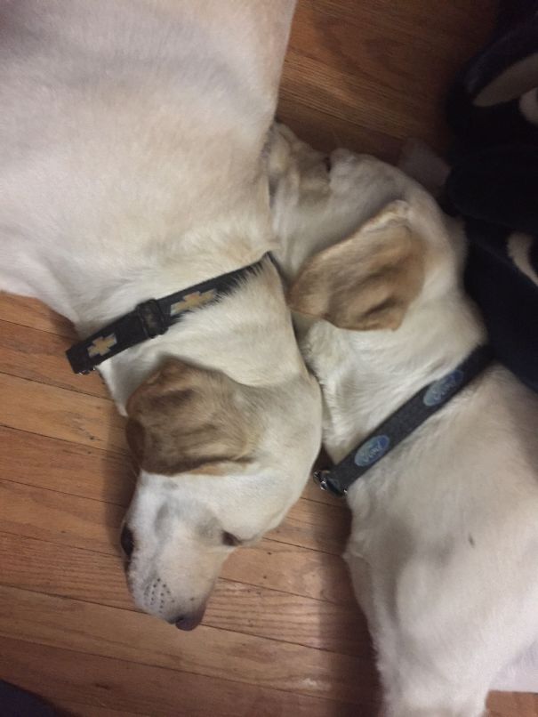 Father And Son Became Best Friends