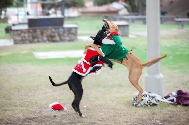 I Just Love You So Much Dude