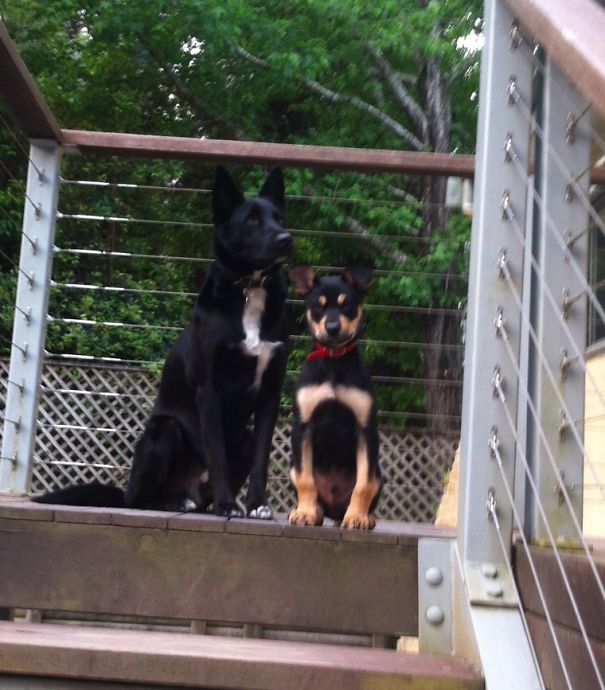 Brothers, Same Mum Different Dad