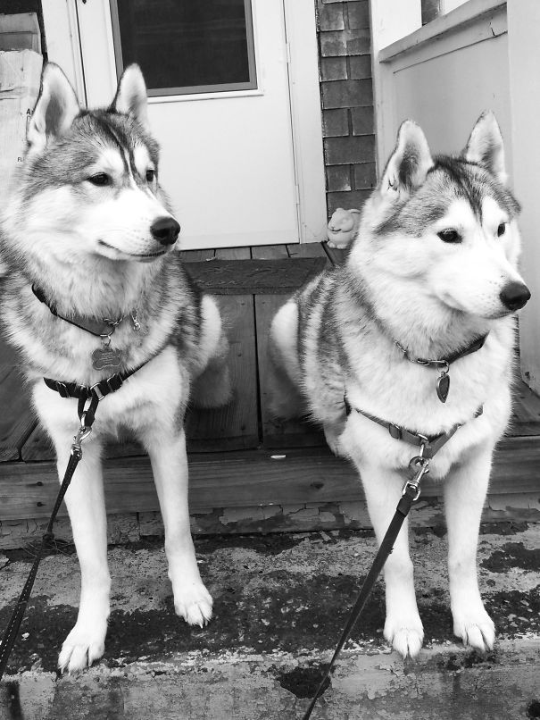 Always Together...xoxo