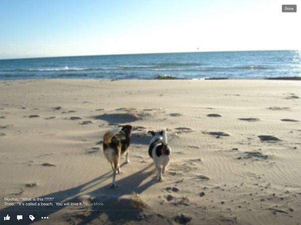 What Isthis!?!? It's Called "the Beach." You'll Love It!
