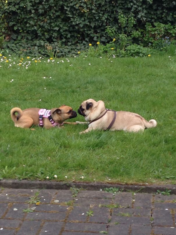 Blümchen & Nike - Best Friends 